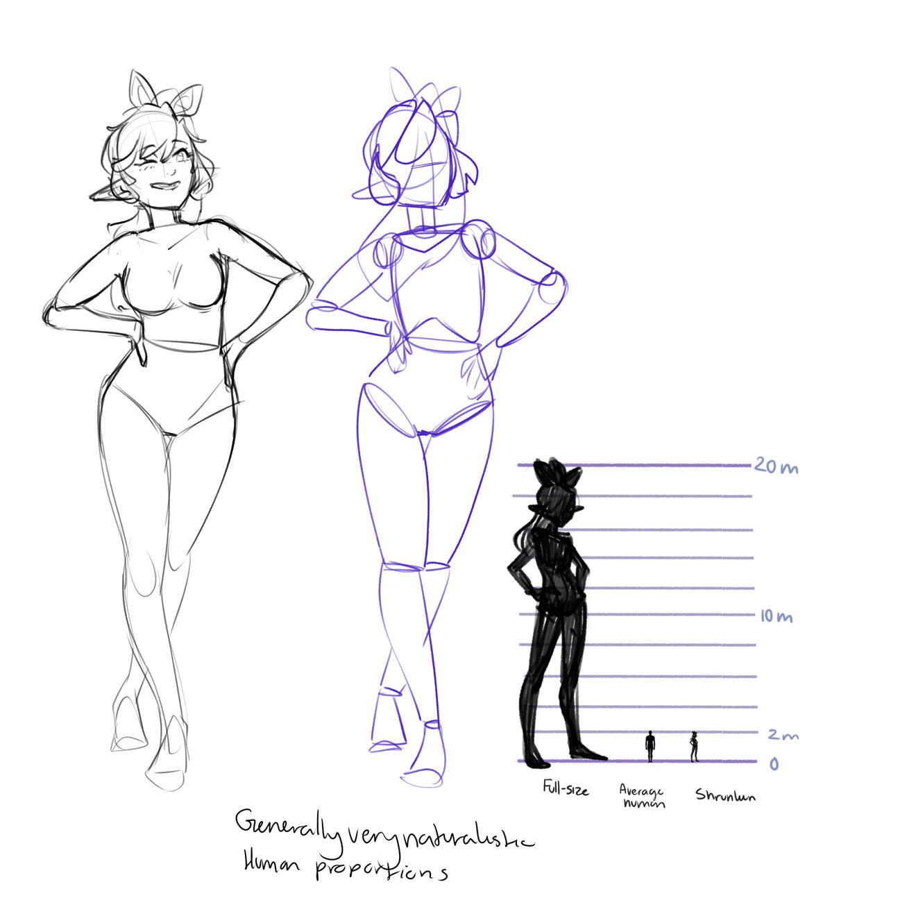 shape construction, height